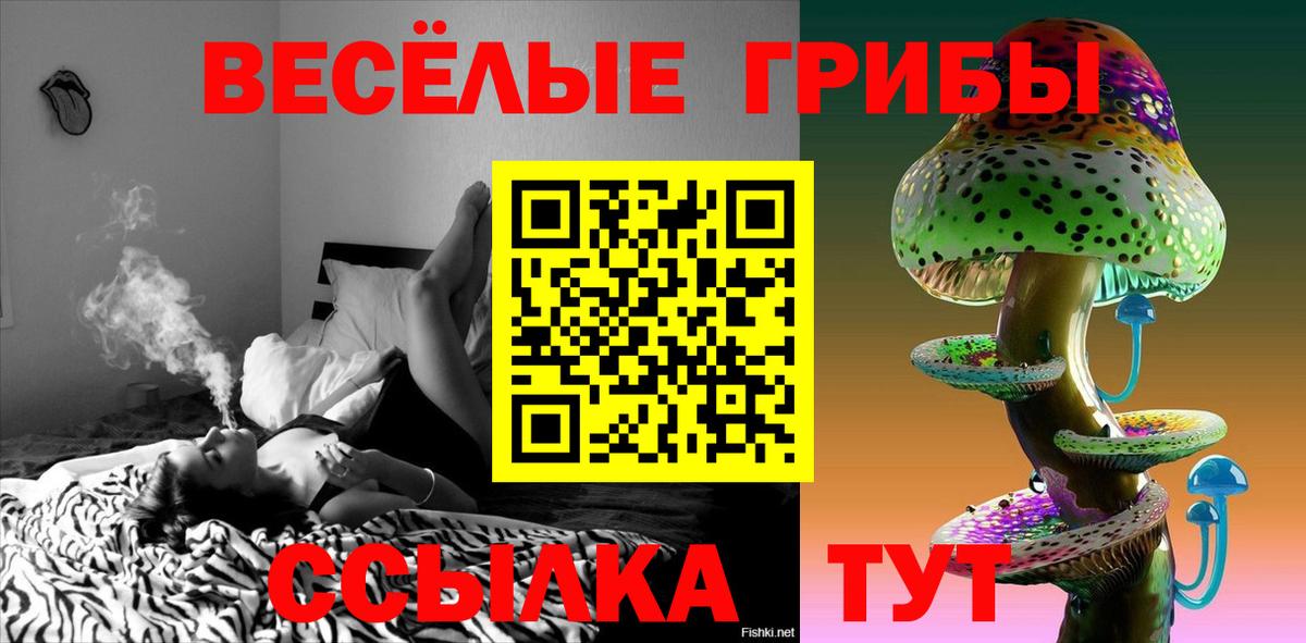 Галлюциногенные грибы GOLDEN TEACHER Новороссийск