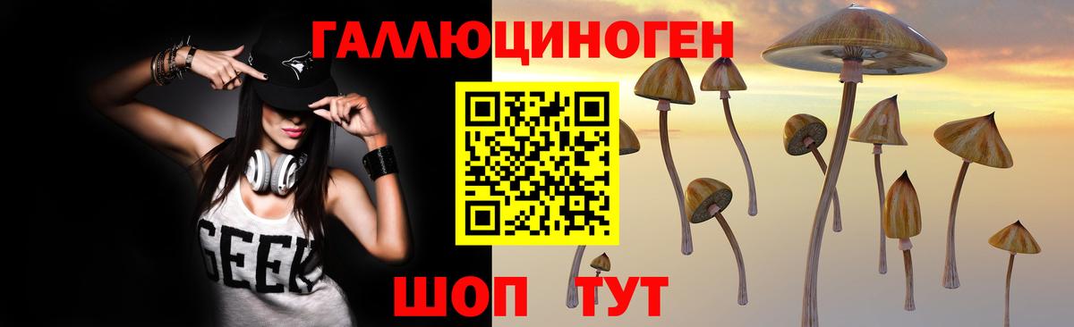 Новороссийск  Галлюциногенные грибы Psilocybe  Галлюциногенные грибы Psilocybe  Вход с VPN 